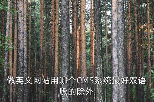 做英文网站用哪个CMS系统最好双语版的除外