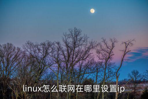 linux怎么联网在哪里设置ip