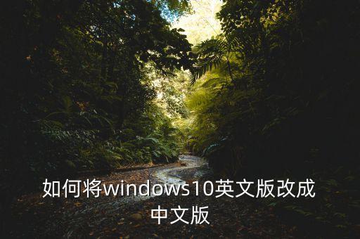 如何将windows10英文版改成中文版