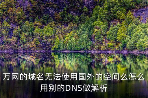 万网的域名无法使用国外的空间么怎么用别的DNS做解析