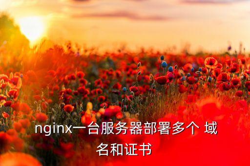  nginx一台服务器部署多个 域名和证书