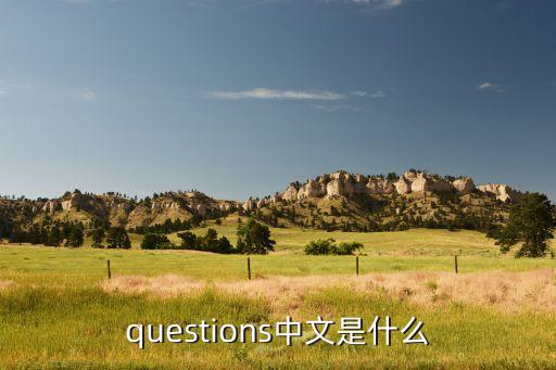 questions中文是什么
