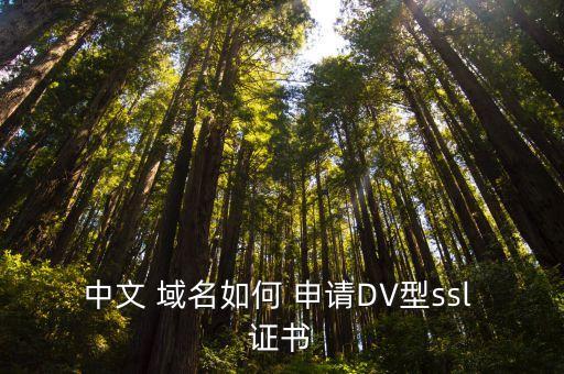 中文 域名如何 申请DV型ssl 证书