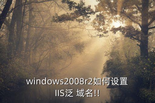 windows2008r2如何设置IIS泛 域名!!