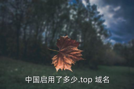 中国启用了多少.top 域名