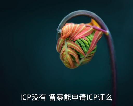ICP没有 备案能申请ICP证么