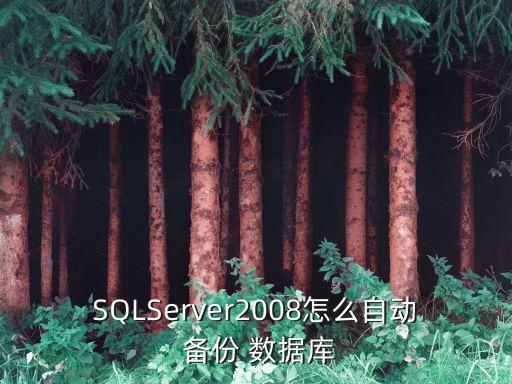 SQLServer2008怎么自动 备份 数据库