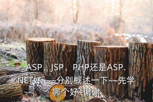 ASP、JSP、PHP还是ASP.NET好~~~分别概述一下~~先学哪个好~谢谢