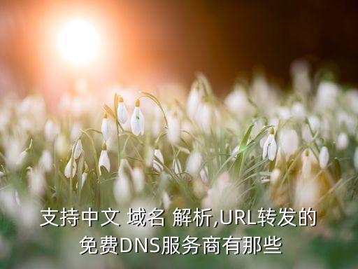 支持中文 域名 解析,URL转发的 免费DNS服务商有那些