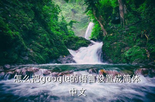 怎么把google的语言设置成简体中文