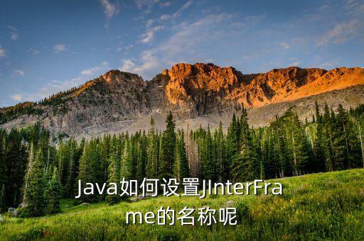 Java如何设置JInterFrame的名称呢