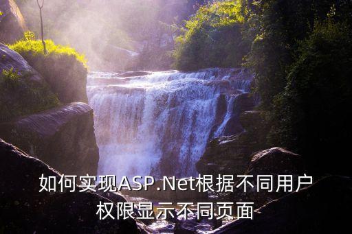 如何实现ASP.Net根据不同用户权限显示不同页面