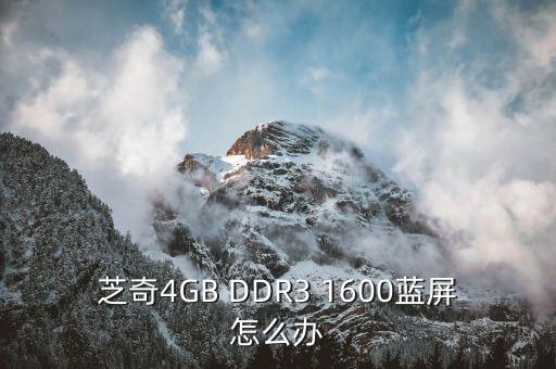 芝奇4GB DDR3 1600蓝屏怎么办