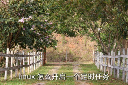 linux 怎么开启一个定时任务