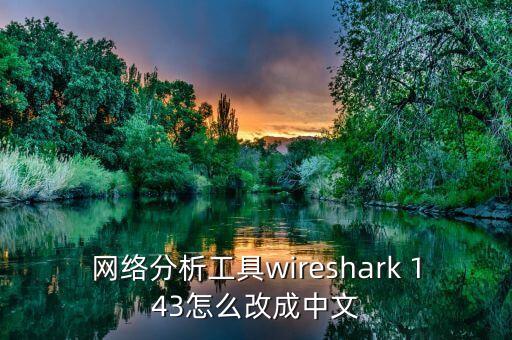 网络分析工具wireshark 143怎么改成中文