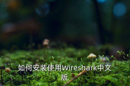 如何安装使用Wireshark中文版