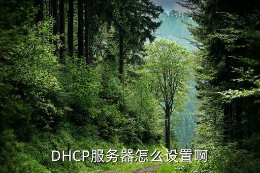 DHCP服务器怎么设置啊