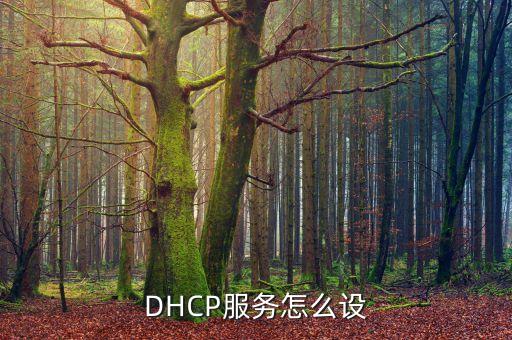 DHCP服务怎么设