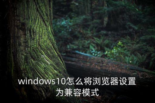 windows10怎么将浏览器设置为兼容模式