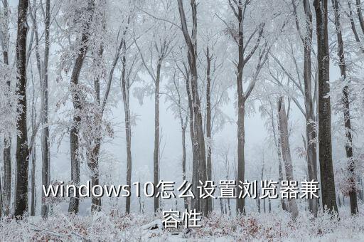 windows10怎么设置浏览器兼容性