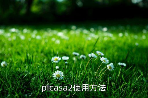 picasa2使用方法