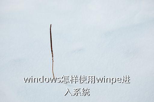windows怎样使用winpe进入系统