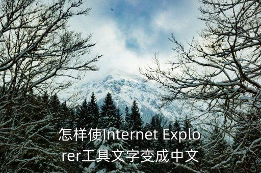 怎样使Internet Explorer工具文字变成中文
