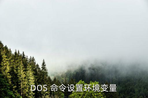 DOS 命令设置环境变量