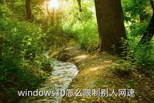 windows10怎么限制别人网速