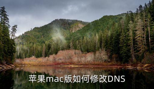 苹果mac版如何修改DNS