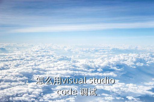 怎么用visual studio code 调试