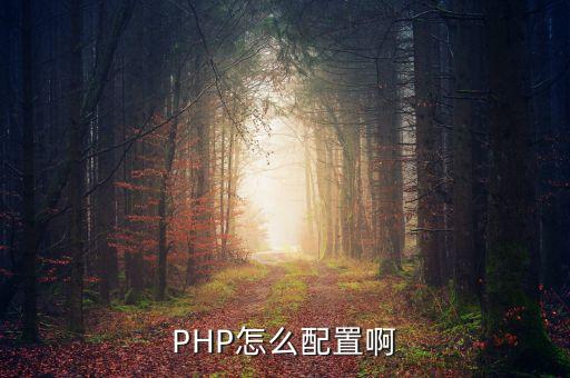 PHP怎么配置啊