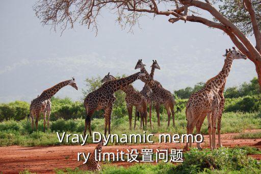 Vray Dynamic memory limit设置问题