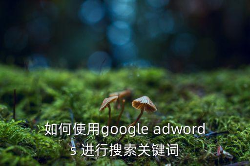 如何使用google adwords 进行搜索关键词
