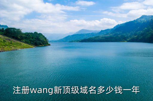 注册wang新顶级域名多少钱一年