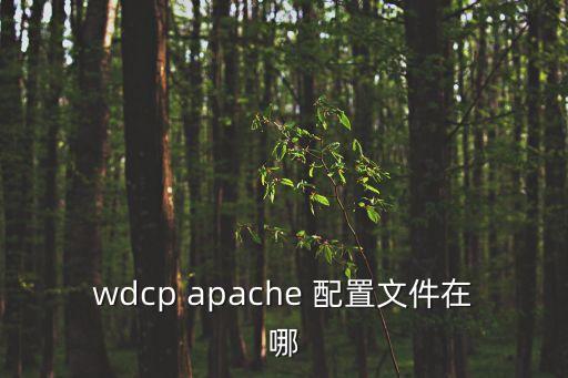 wdcp apache 配置文件在哪