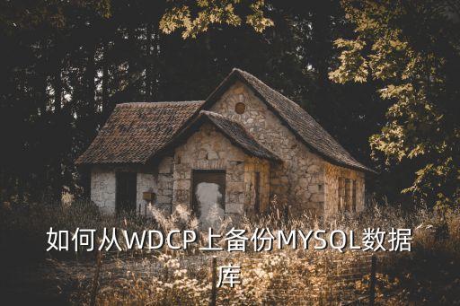 如何从WDCP上备份MYSQL数据库