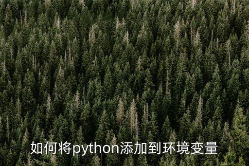 如何将python添加到环境变量