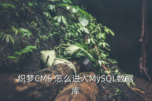 织梦CMS 怎么进入MySQL数据库