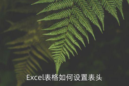 Excel表格如何设置表头