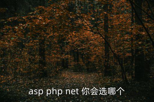 asp php net 你会选哪个