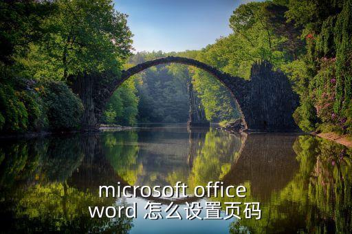 microsoft office word 怎么设置页码