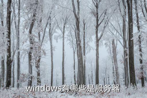 windows有哪些是服务器