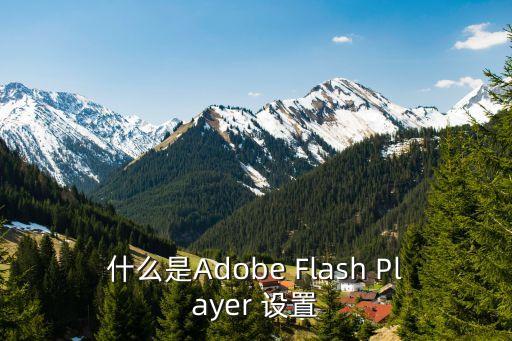 什么是Adobe Flash Player 设置
