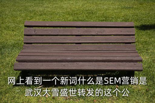 网上看到一个新词什么是SEM营销是武汉大雪盛世转发的这个公