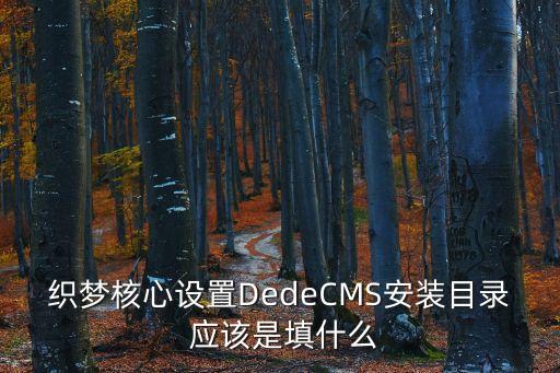 织梦核心设置DedeCMS安装目录 应该是填什么