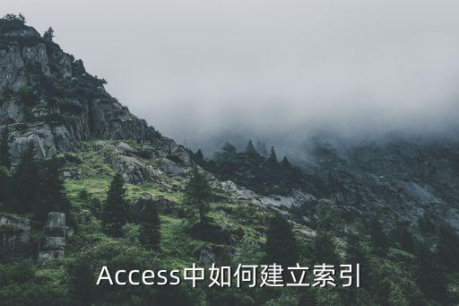 Access中如何建立索引