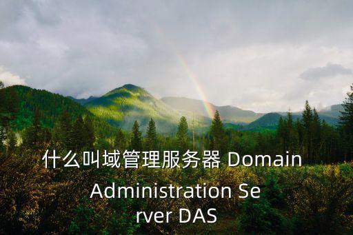 什么叫域管理服务器 Domain Administration Server DAS