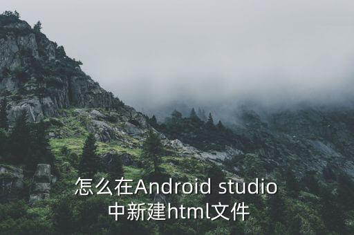 怎么在Android studio 中新建html文件
