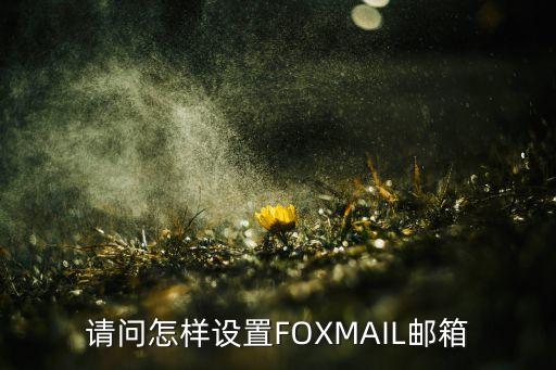 请问怎样设置FOXMAIL邮箱